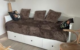 Studio A 15 Mn De Toulouse A Castelginest
