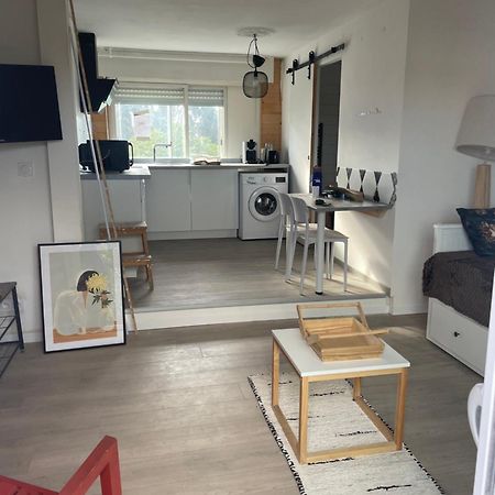 Studio A 15 Mn De Toulouse A Castelginest Extérieur photo